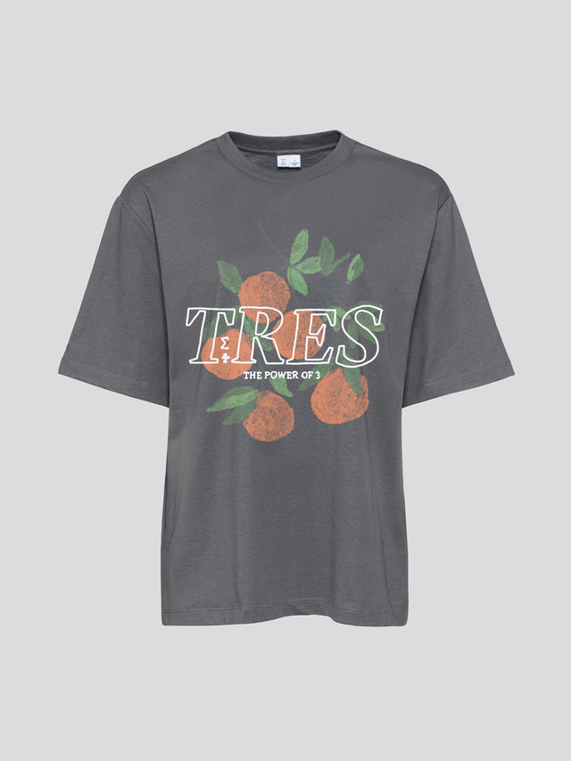 Oranges Oversized T Printed Grey